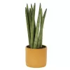 Obal 416 Curry Lasur lesk 17cm