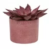 Obal 416 Merlot Lasur lesk 17cm