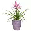 Obal orchidejový 689 Glass Lilac lesk 13cm/v. 15cm