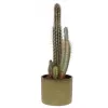 Obal 416 Pistachio Lasur lesk 17cm