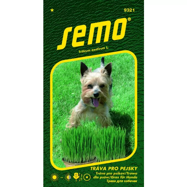 Tráva pro pejsky 10g