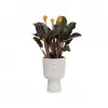 Obal Vibes Fold Coupe - silky white 14cm