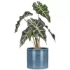 Obal 828 Blue jeans lesk 14