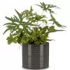 Obal 828 Glass Grey lesk 19