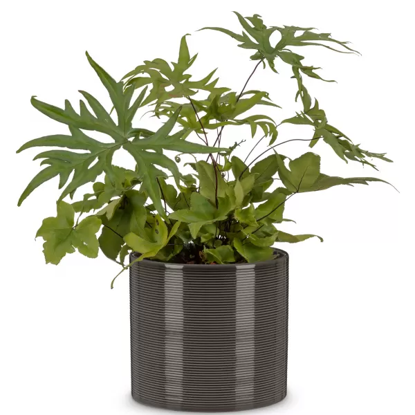 Obal 828 Glass Grey lesk 19