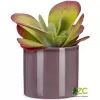 Obal 828 Aubergine lesk 16
