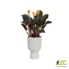 Obal Vibes Fold Coupe - silky white 14cm