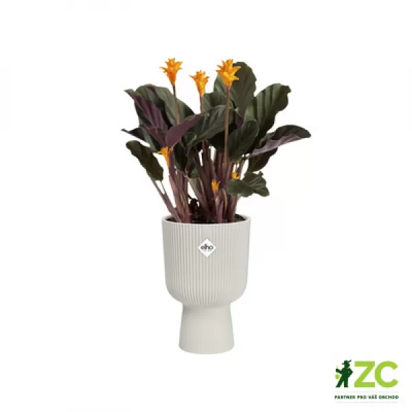 Obal Vibes Fold Coupe - silky white 14cm