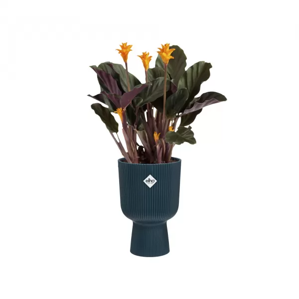 Obal Vibes Fold Coupe - deep blue 14cm