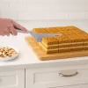Lopatka-kráječ nerez dortová KITCH 28 cm
