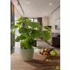 Obal 842 Jade mat 16
