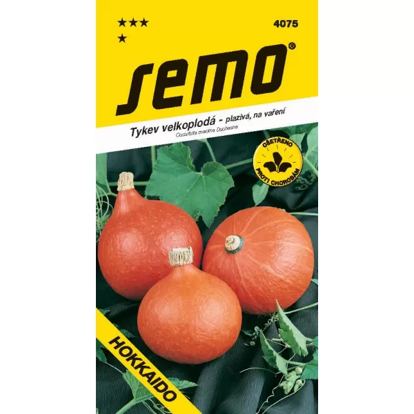 Tykev typ Hokkaido - Hokkaido orange 1,5g