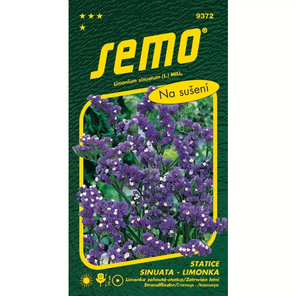 Limonka Statice sinuata - Blue (Sky Blue) modrá 0,5g