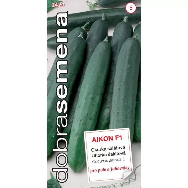 Okurka salát. - Aikon F1 1g