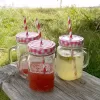 Sklenice Straw víčko+brčko 0,45 l karo