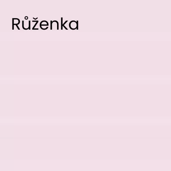 DULUX EC 34 - Růženka 2,5L