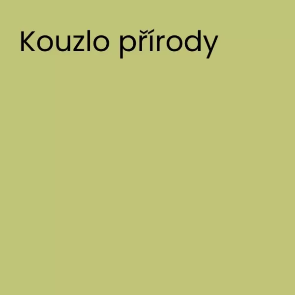 DULUX EC 45 - Kouzlo přírody 2,5L