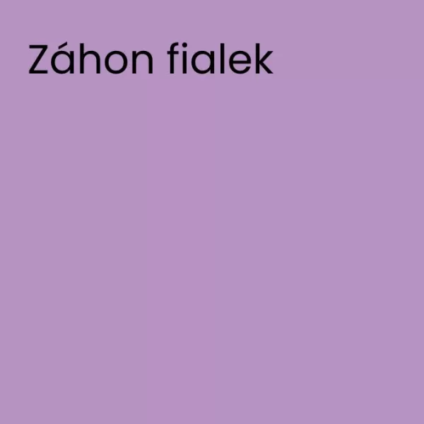 DULUX EC 38 - Záhon fialek 2,5L