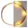 EMOS D3AW07 20LED XMAS NANO IP20 2AA T WW-svět.drát