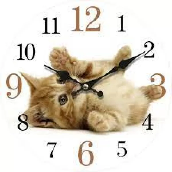 Hodiny nástěnné dřevo Cat pr. 34cm