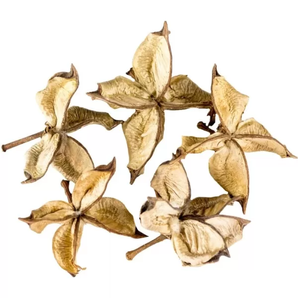 Dekorace - Cotton Flower - 5 ks