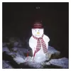 EMOS 40LED XMAS SNOWMAN IP44 CW DCFC19
