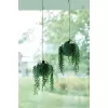 Obal B. For Soft Air- leaf green 18cm