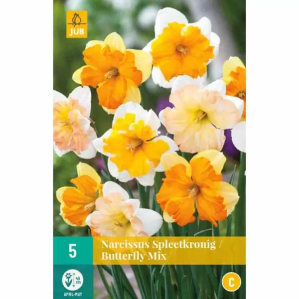 Karta - Narcis - Butterfly mix (5 cibulí) "C"