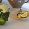 Lis na citrusy nerez Clap 8,5x7 cm