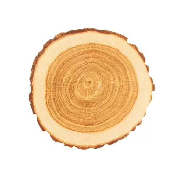 Podtácek papír WOODEN pr. 10 cm 10 ks