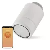 EMOS GOSMART Digitální termostatická hlavice P5630S