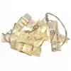 EMOS 10LED XMAS CLAMP 2AA WW /ZY2099/