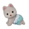 Dvojčata Husky