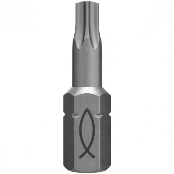 Fischer T10 Profi bit FPB W 10