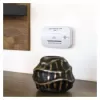 EMOS Detektor CO GS827 P56402