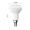 EMOS LED žárovka Classic R50/E14/4,2W (40W) /470lm/neutrální bílá ZQ7E23