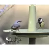 Pítko pro ptáky -FINCH olivová