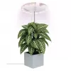 EMOS LED GROW pěstební lampa kruh Z7902