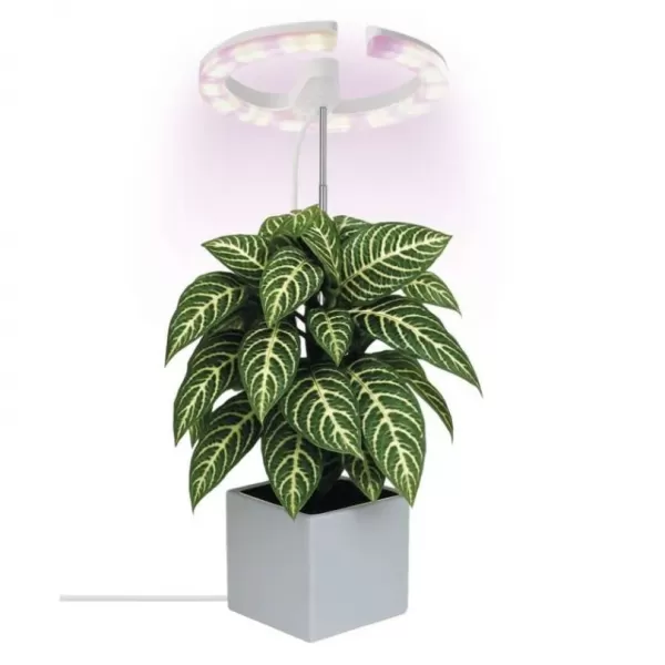 EMOS LED GROW pěstební lampa kruh Z7902