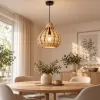 RABALUX ZAHARA 7604 závěsné svítidlo E27/1x40W