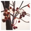 EMOS DCTW14 48LED TREE BERRY 120CM IP44 WW-dekorace strom