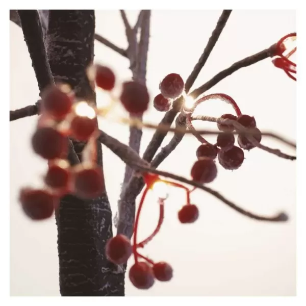 EMOS DCTW14 48LED TREE BERRY 120CM IP44 WW-dekorace strom