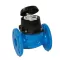 Schlumberger WOLTEX DN150