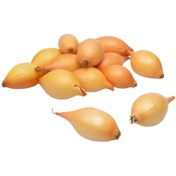 Sazečka - Augusta ozimá 250 g ( 7-14mm ) cena bez slev