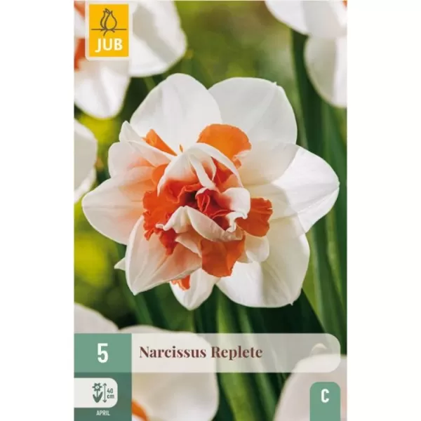 Narcis - Replete (5 cibulí) "C"