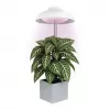 EMOS LED GROW pěstební lampa deštník Z7901