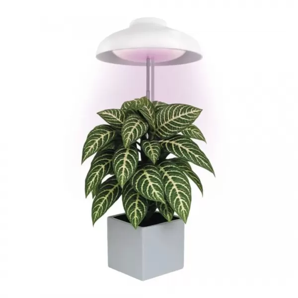 EMOS LED GROW pěstební lampa deštník Z7901