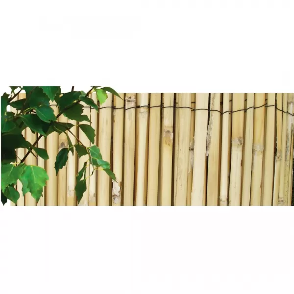 Rohož rákos štípaný 1x5m