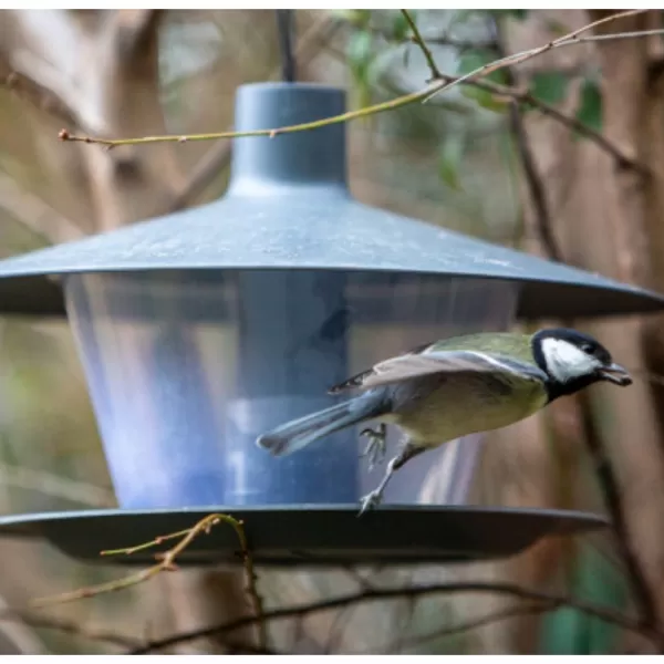 JUKO Krmítko pro venkovní ptactvo FINCH 020414