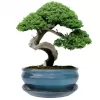 Mísa bonsai glazovaná s podmiskou ovál - tyrkysová 25,5x20,8cm